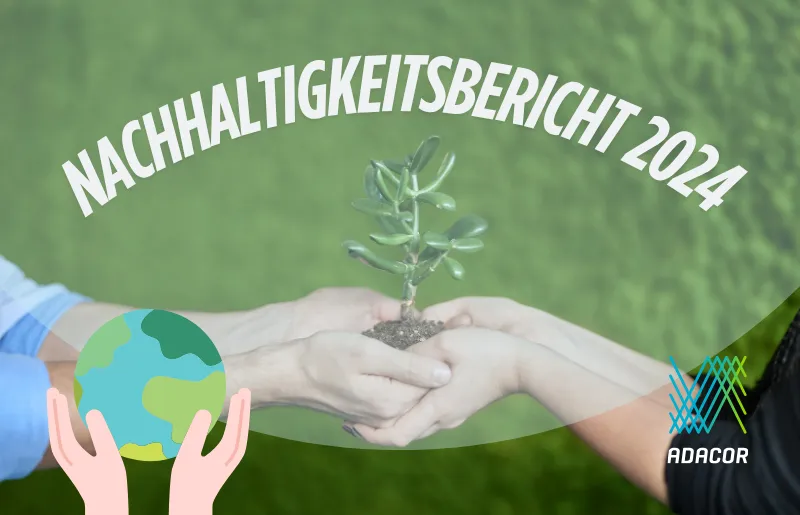 Hände, die eine Pflanze vor einem grünen Hintergrund halten. Darüber der Schriftzug "Nachhaltigkeitsbericht 2024".